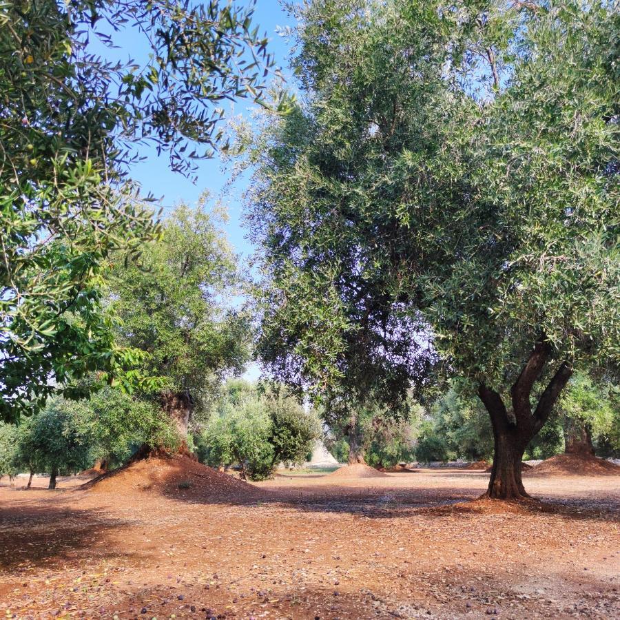 Masseria La Foggia Fasano Exteriör bild